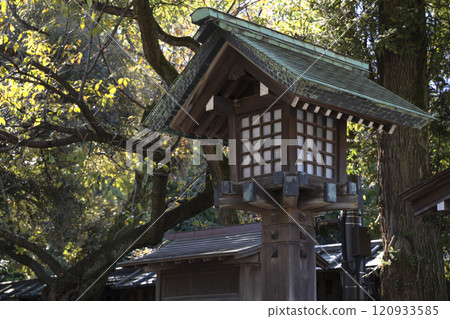 Old lantern in Yasukuni-jinja Shrine during autumn time. Old lantern in Yasukuni-jinja Shrine during autumn time. 120933585