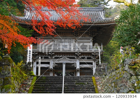函南寺的秋葉 函南寺的秋葉 120933934