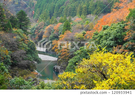 Autumn leaves at Neo in the early winter rainy weather 120933941