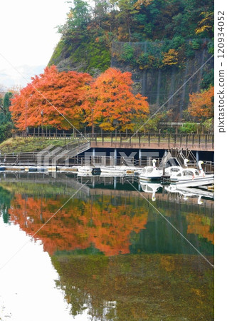 時雨空初冬伊吉拉湖的秋葉 時雨空初冬伊吉拉湖的秋葉 120934052