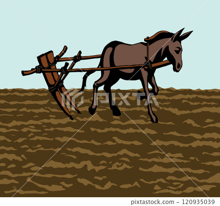 Vector drawing. Cute old mule 120935039