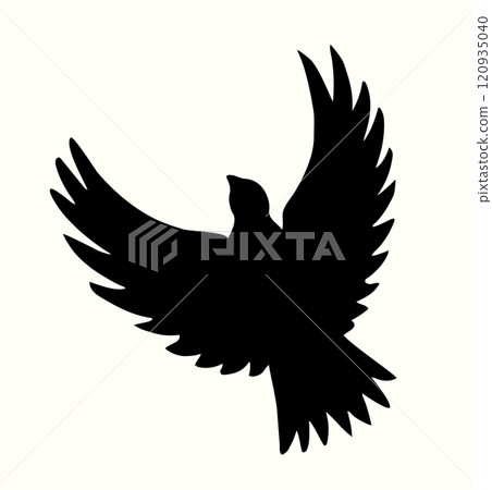 Vector drawing. Cute flying dove 120935040