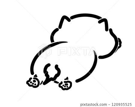 Cats back Cats back 120935525