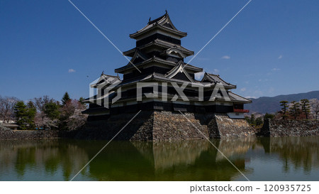 Clear skies and Matsumoto Castle, Matsumoto City, Nagano Prefecture 120935725