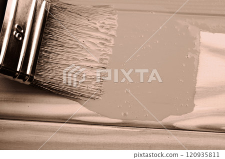 Close-up of paintbrush applying neutral paint on wooden surface, Mocha and Mousse 120935811