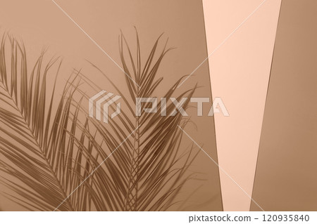 Abstract composition with palm leaves and geometric shapes in warm tones 120935840