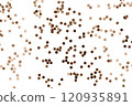 Brown confetti scattered on a white background for festive celebrations 120935891