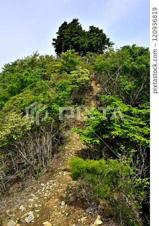 通往禦坂山脈瀨戶嶽山頂的道路 120936819