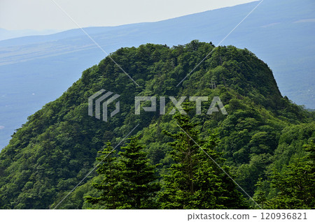 綠色禦坂山脈 - 從瑟圖岳眺望十二岳 綠色禦坂山脈 - 從瑟圖岳眺望十二岳 120936821