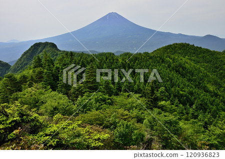 Mount Fuji and the green Misaka Mountains. View of Mount Junigatake and Mount Kanayama from Mount Setsugatake. 120936823