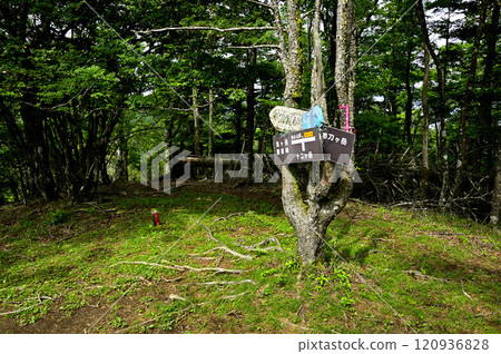 The summit of Mt. Kanayama in the Misaka Mountains 120936828