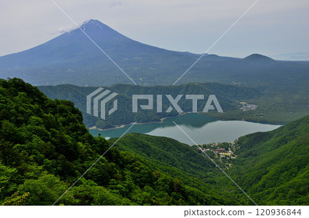 從禦坂山十二嶽眺望初夏的富士山和西湖 從禦坂山十二嶽眺望初夏的富士山和西湖 120936844