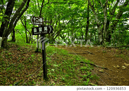Junigatake summit in the Misaka Mountains: A fork with a signpost 120936853