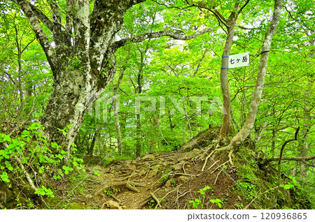 禦坂山脈的山頂、七公山山頂 120936865