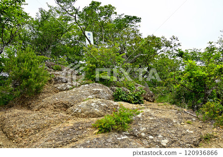禦坂山脈山頂、四公山山頂 120936866