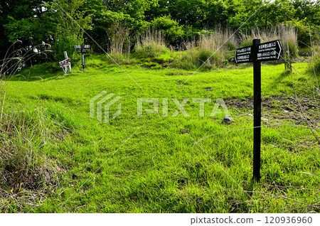 Oishi Pass on the old Wakahikoji Kaido road, on the border between Fuefuki City and Fujikawaguchiko Town in the Misaka Mountains 120936960