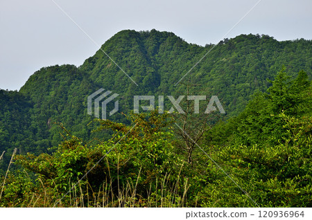 View of Junigatake from Oishi Pass in the Misaka Mountains 120936964