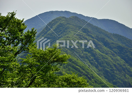 View of Mt. Nakafuji and Mt. Kurodake from Mt. Kanabori in the Misaka Mountains 120936981