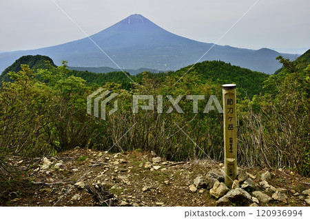 從山梨百座名山之一的Settugatake山頂看初夏的御坂山脈和富士山 120936994