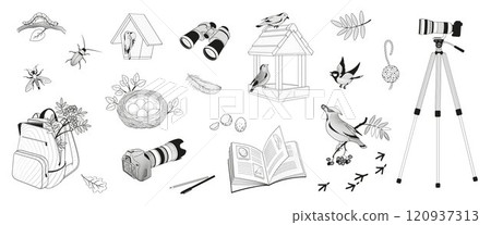set elements about birdwatching, binoculars, camera, insects, birds, feeder, notebook, bird nest, bird eggs, bird traces set elements about birdwatching, binoculars, camera, insects, birds, feeder, notebook, bird nest, bird eggs, bird traces 120937313