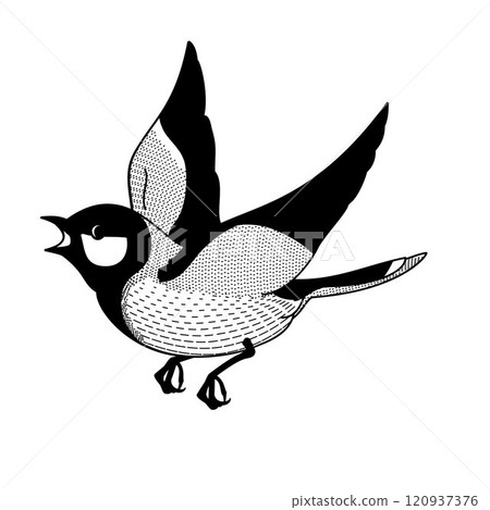 flying tit on a white background	 120937376