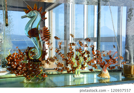 Dragon spawn and ornaments at Seahorse House in Kagoshima Prefecture and Mt. Kaimon 120937557