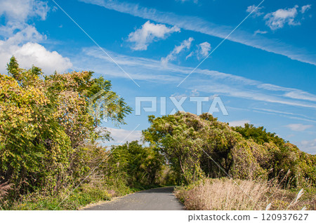 Yodogawa Cycling Road Hirakata City, Osaka Prefecture 120937627