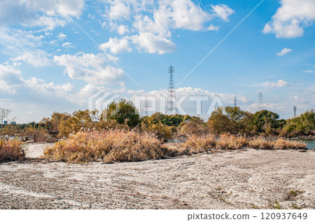 Sandbar of the Yodo River in early winter, Hirakata City, Osaka Prefecture 120937649