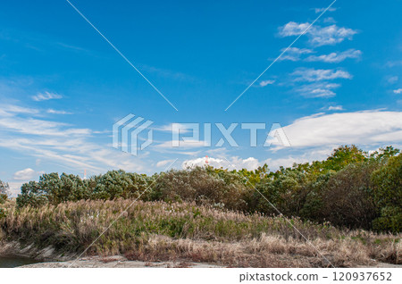Yodo River in early winter, riverside scenery, Hirakata City, Osaka Prefecture 120937652