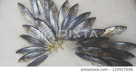 Thai mackerel on ice in supermarket for sale 120937696