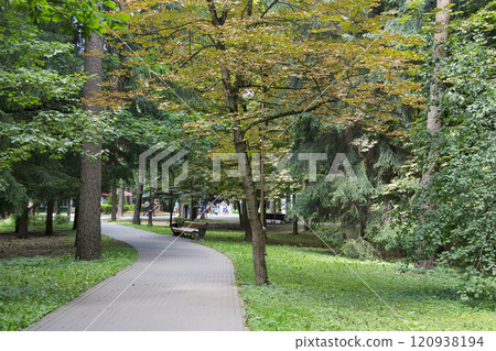 Walkway in the park in the summer 120938194