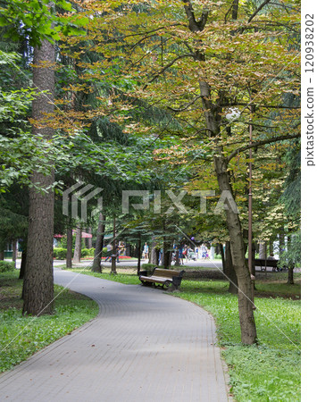 Walkway in the park in the summer Walkway in the park in the summer 120938202