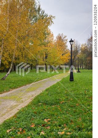 Walkway in the park in the summer 120938204