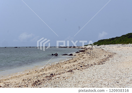 石垣島白保海岸珊瑚海灘 石垣島白保海岸珊瑚海灘 120938316