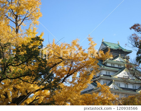 泛黃的樹木和城堡塔樓 泛黃的樹木和城堡塔樓 120938566