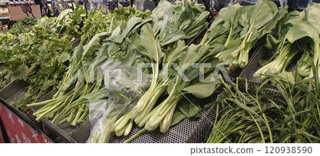 Raw and fresh vegetable in stanless tray in supermarket 120938590