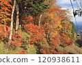 A ropeway running through autumn leaves 120938611