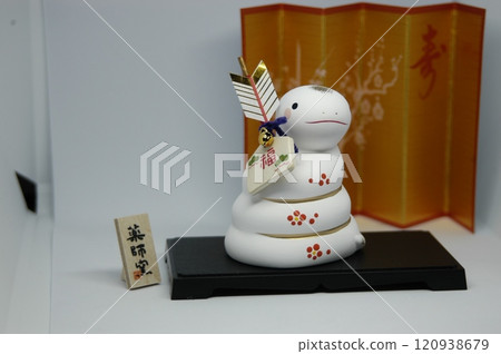 白蛇蘭花 120938679
