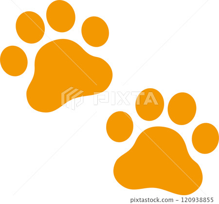 Dog and cat paw print icon Dog and cat paw print icon 120938855