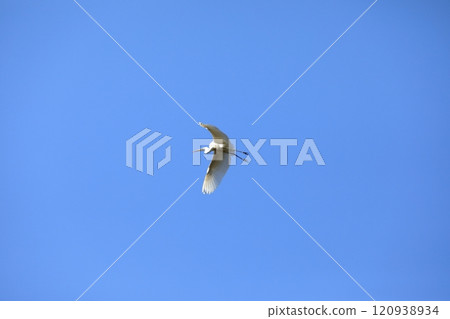 Flight of a flight 120938934