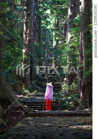 Kumano Kodo Daimonzaka 120939195