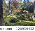 Stone lantern basket with moss 120939432