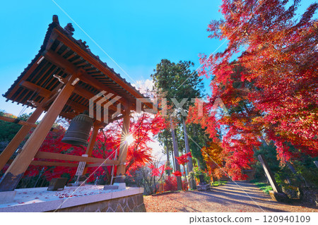 Autumn leaves at Konzo-in Temple 120940109