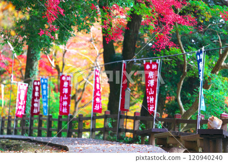 唐朝山神社的秋葉 唐朝山神社的秋葉 120940240