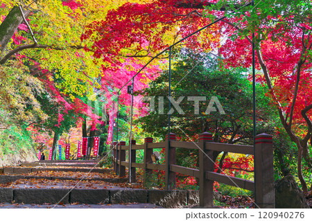Autumn leaves of Karasawayama Shrine Autumn leaves of Karasawayama Shrine 120940276