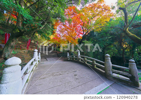 Autumn leaves of Karasawayama Shrine Autumn leaves of Karasawayama Shrine 120940278