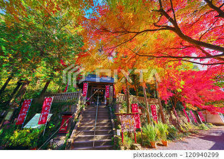 Autumn leaves at Izuruhara Benten Pond 120940299