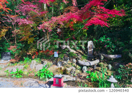 Autumn leaves at Izuruhara Benten Pond Autumn leaves at Izuruhara Benten Pond 120940340