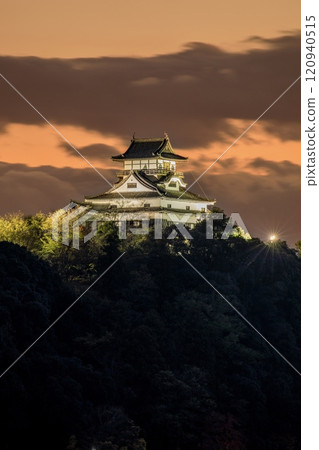 從犬山市犬山橋欣賞犬山城的夜景 120940515
