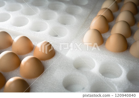 eggs in carton box eggs in carton box 120940840